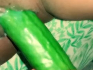 fucking my pussy with a huge cucumber