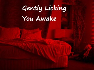 Gently Licking You Awake