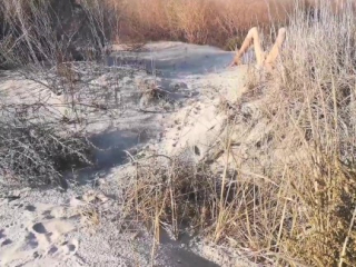 Skinny Tanned Nudist Babe caught Peeing at the Beach. Slaps & Spits for her Pussy.